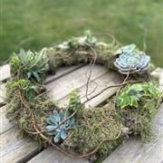 Eco Planted Wreath