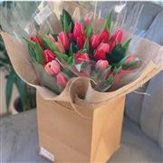 Tulip Flowers Delivered