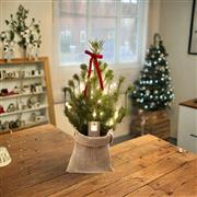 Real Mini Christmas Tree With Lights
