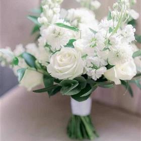 fwthumb3BD3820D-7528-461F-BD08-B5D5845DB581.jpg
